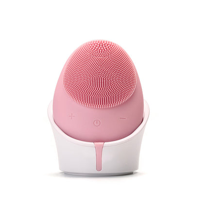 Rechargeable Face Massager