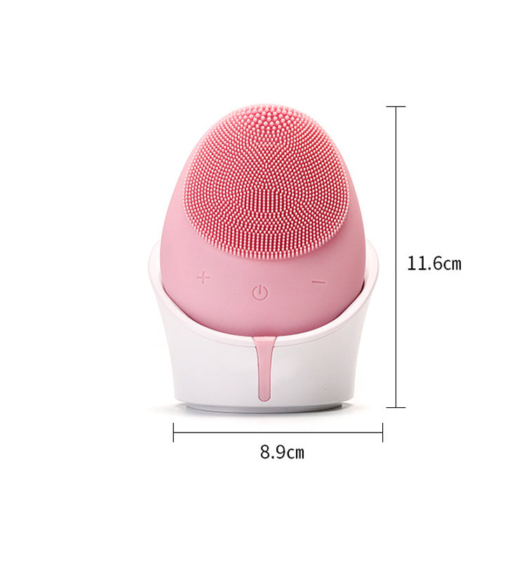 Rechargeable Face Massager